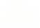 全天交易